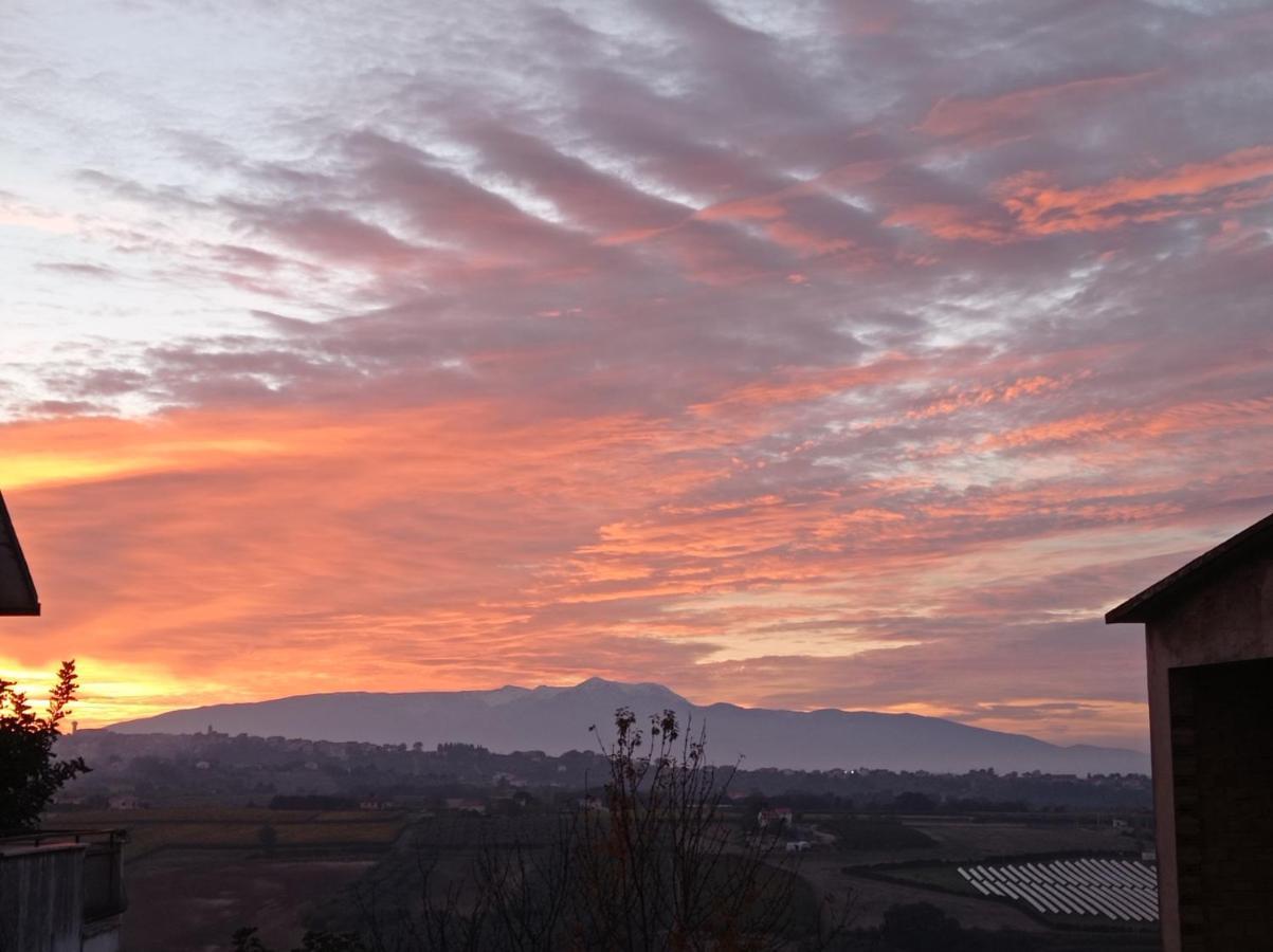Appartamento tra mare e città Vasto Esterno foto